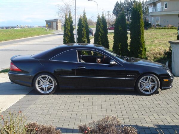 Lowered CL55